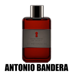 The Secret Temptation 100 ml EDT